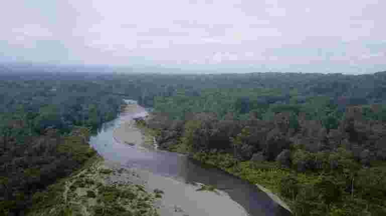 新技術有助于搜索團隊在荒野中找到人們