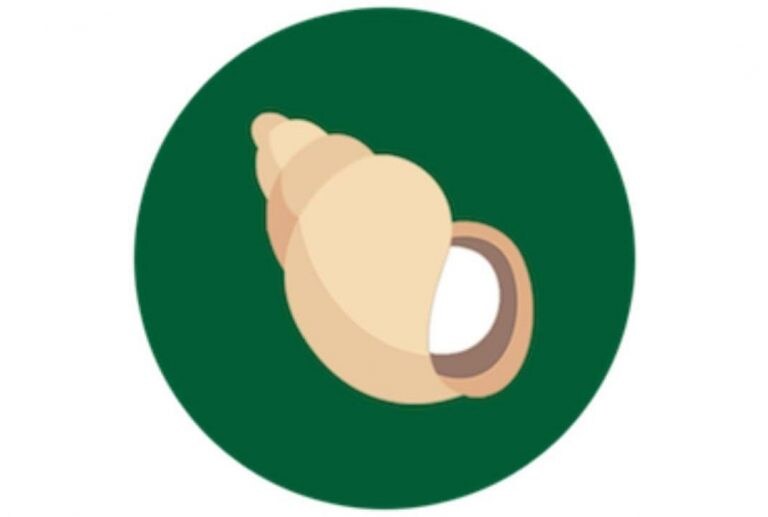 Ramdev的'Swadeshi'Whatsapp Kimbho在冬眠，Patanjali仍然希望