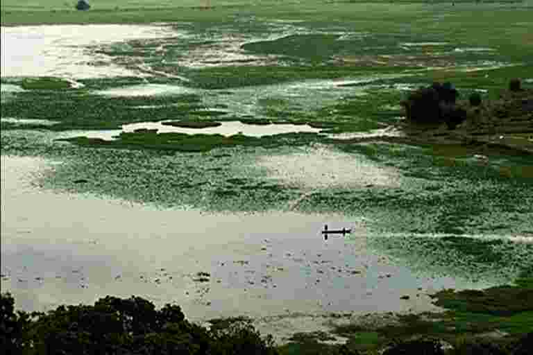 努力恢復喀拉拉邦的第二大淡水湖