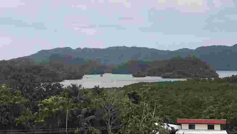 解鎖補償性造林基金以獲得最大利益