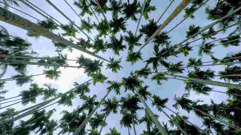 喀拉拉邦洪水：&ldquo;我的生命保險公司&rdquo;不敏感的消息&ldquo;要求在最早的情況下確保我的死亡證明