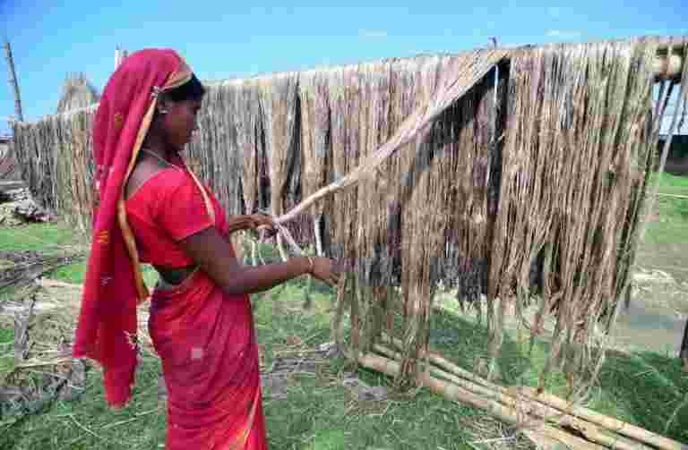 黃麻多元化出口在5年內增長24％