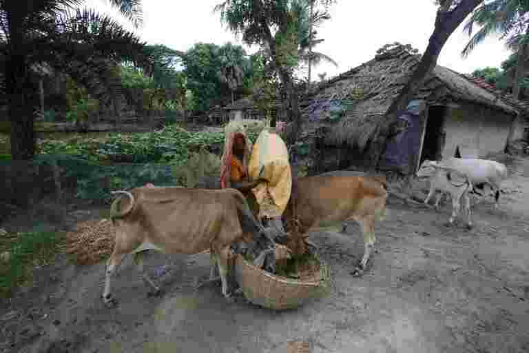 Uttar Pradesh進入了世界上最奇怪的稅收俱樂部