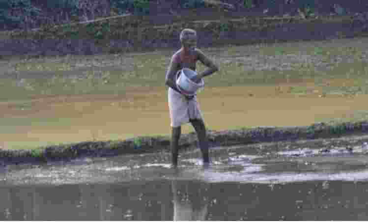 2019年印度的&ldquo;人民宣言&rdquo;