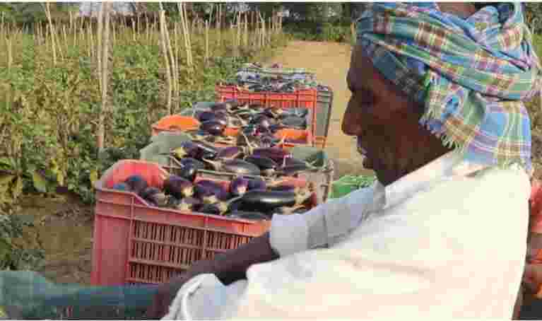 農業正在接受Chhattisgarh的最嚴重的氣候變化