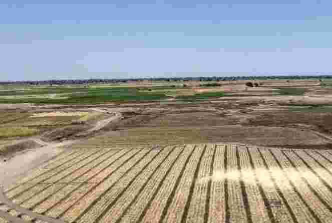 Saurashtra的農業痛苦會使反對派有益嗎？