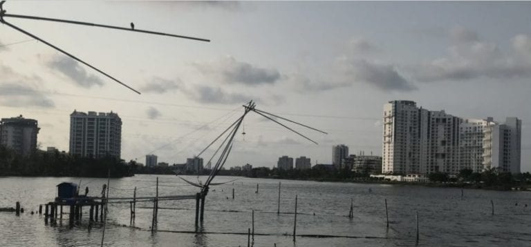 五個高知建筑物肆虐CRZ違規行為