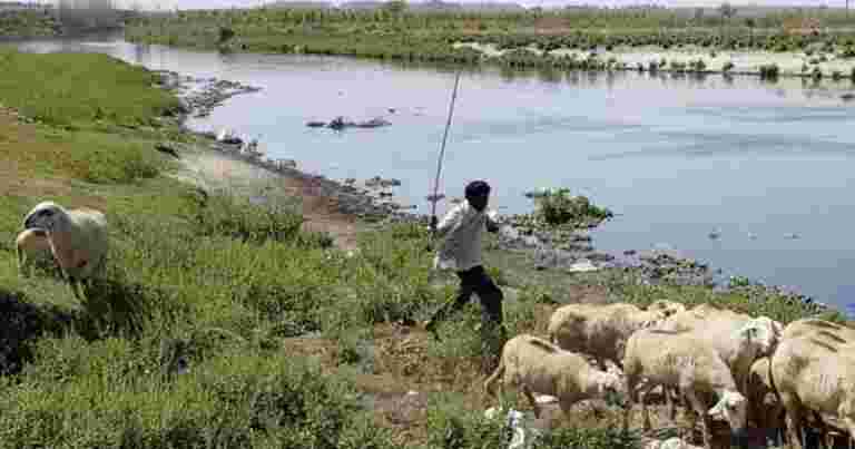工業污水繼續惡化漢頓河
