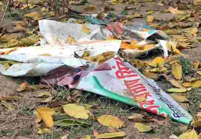 &ldquo;綠色&rdquo;是如何選擇的選舉？