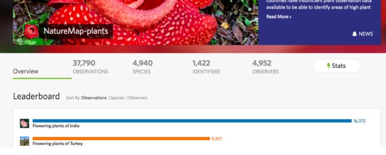 公民科學家們在四個國家偵察野花