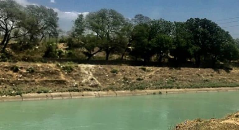 由于洪水和大雨，今年7月8日，超過1300人死亡