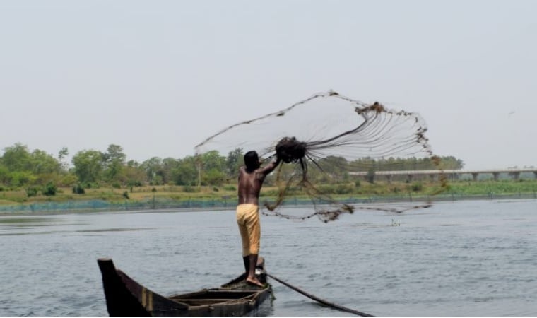 2019年聯盟預算：政府宣布推進魚類處理的新計劃;向新部分配3,737億盧比