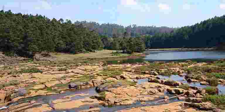 尼爾格里斯的一種急需的聲音