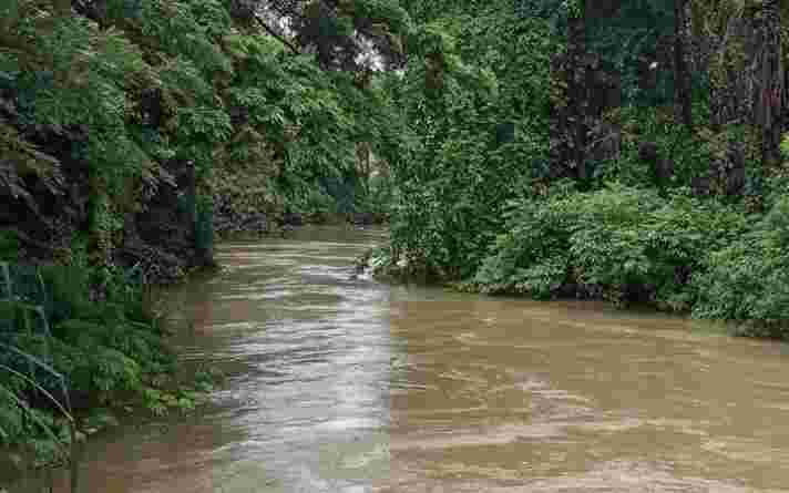 非常設計的高速公路分裂果阿的水道，擾亂當地水文