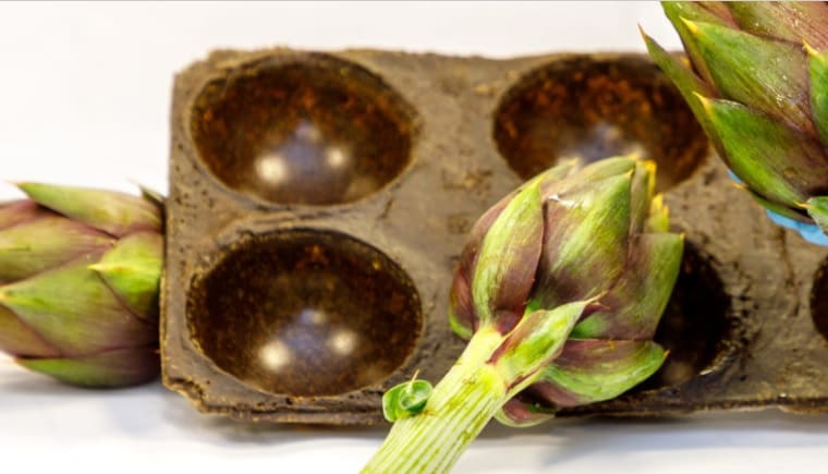 將農業廢物轉化為環保型塑料