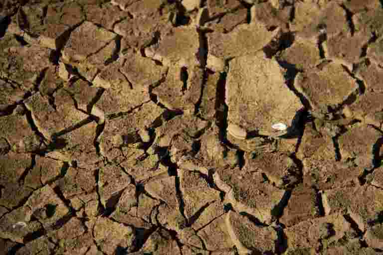 大型投資者呼吁各國政府采取氣候行動