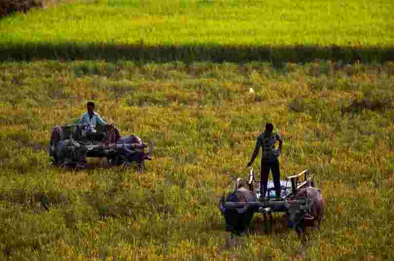 官員要求在Uttar Pradesh糾正PM-Kisan計劃的數據