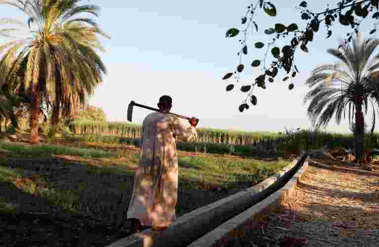 政府使農作物保險計劃為農民自愿