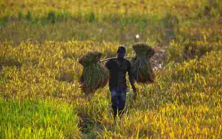 政府提醒各國在鎖定期間允許的農業活動表示豁免規范